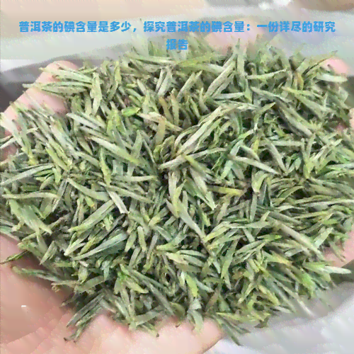 普洱茶的碘含量是多少，探究普洱茶的碘含量：一份详尽的研究报告