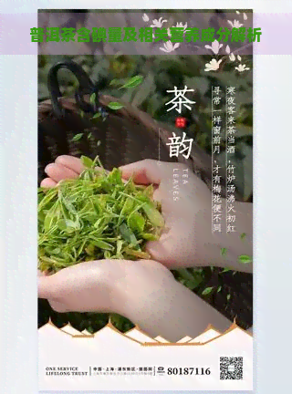 普洱茶含碘量及相关营养成分解析