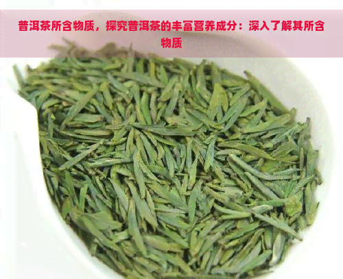 普洱茶所含物质，探究普洱茶的丰富营养成分：深入了解其所含物质