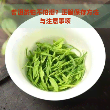 普洱茶怕不怕潮？正确保存方法与注意事项