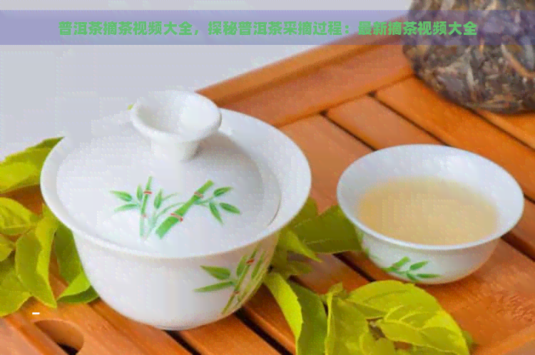 普洱茶摘茶视频大全，探秘普洱茶采摘过程：最新摘茶视频大全