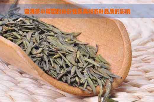 普洱茶中霉菌的存在性及其对茶叶品质的影响