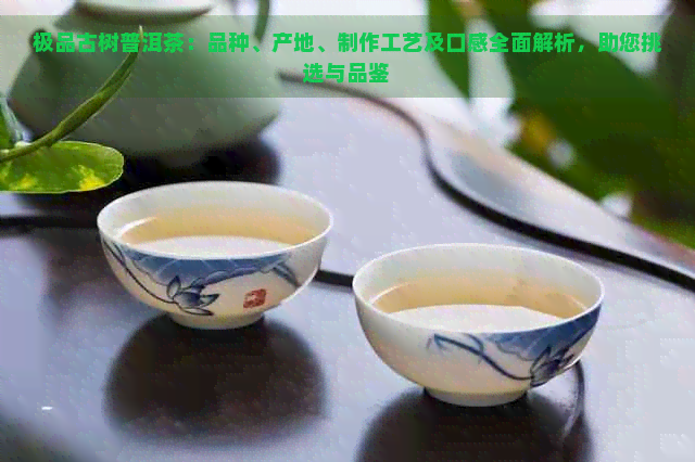 极品古树普洱茶：品种、产地、制作工艺及口感全面解析，助您挑选与品鉴