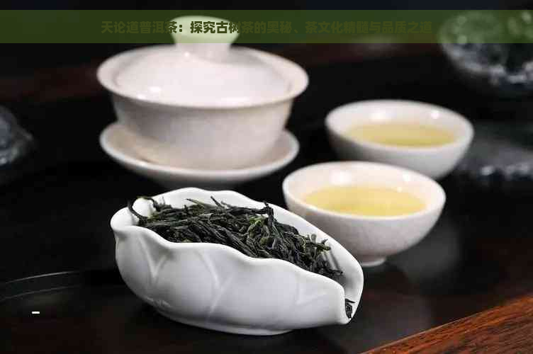 天论道普洱茶：探究古树茶的奥秘、茶文化精髓与品质之道