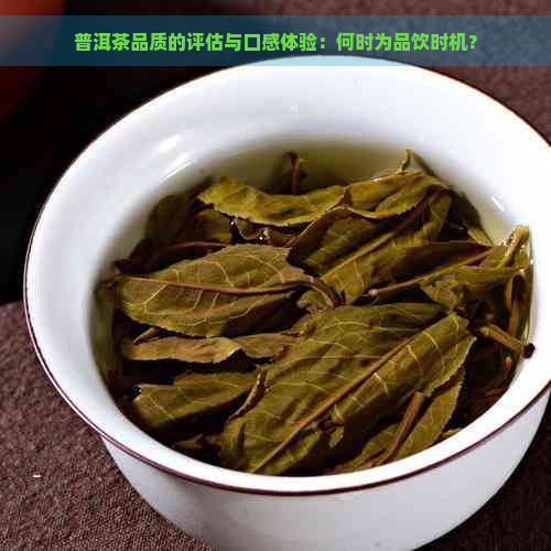 普洱茶品质的评估与口感体验：何时为品饮时机？