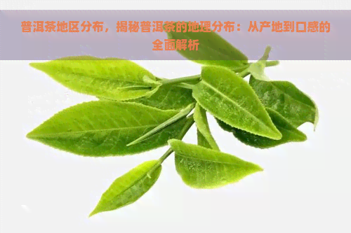 普洱茶地区分布，揭秘普洱茶的地理分布：从产地到口感的全面解析