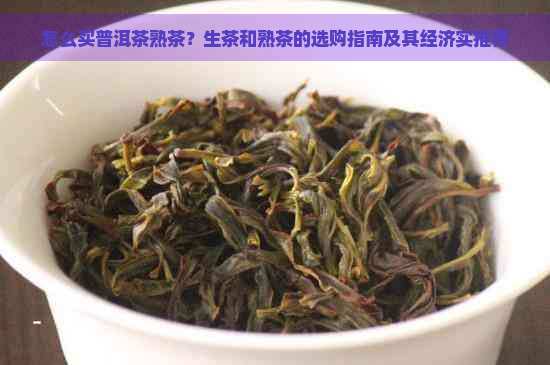 怎么买普洱茶熟茶？生茶和熟茶的选购指南及其经济实推荐