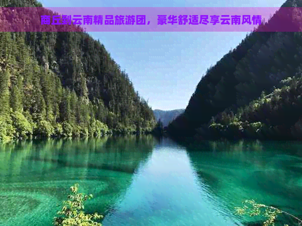 商丘到云南精品旅游团，豪华舒适尽享云南风情