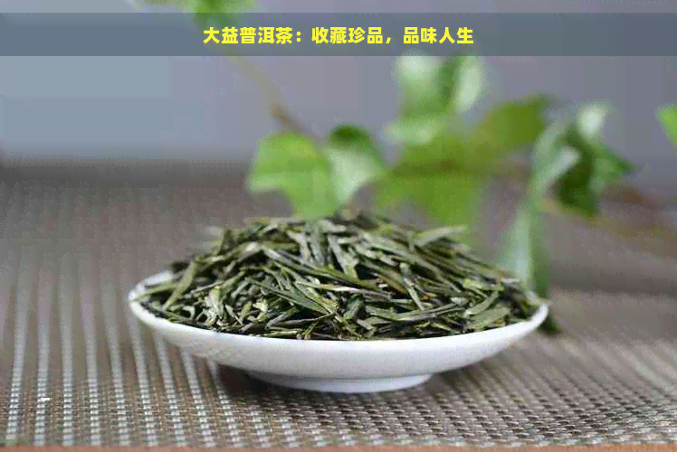 大益普洱茶：收藏珍品，品味人生