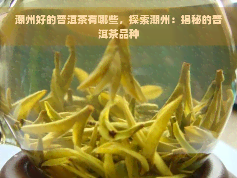 潮州好的普洱茶有哪些，探索潮州：揭秘的普洱茶品种