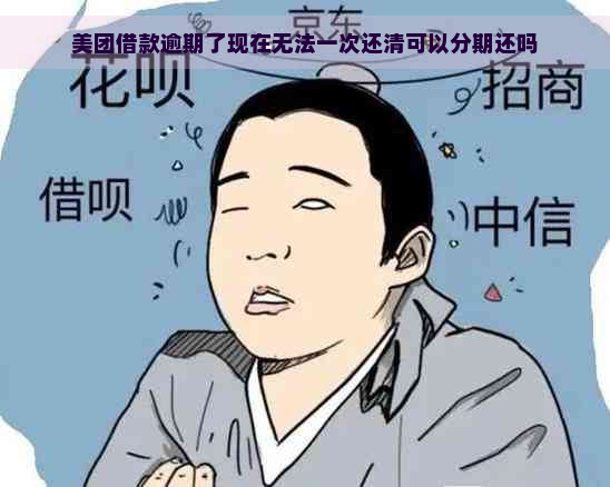 美团借款逾期了现在无法一次还清可以分期还吗