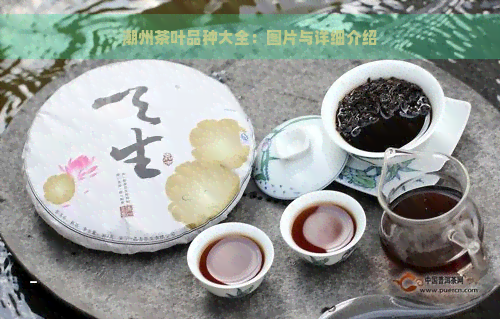 潮州茶叶品种大全：图片与详细介绍