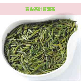 春尖茶叶普洱茶