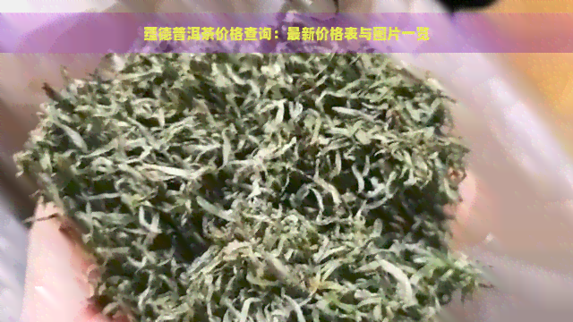 蕴德普洱茶价格查询：最新价格表与图片一览