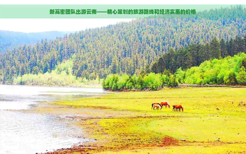 新高密团队出游云南——精心策划的旅游路线和经济实惠的价格