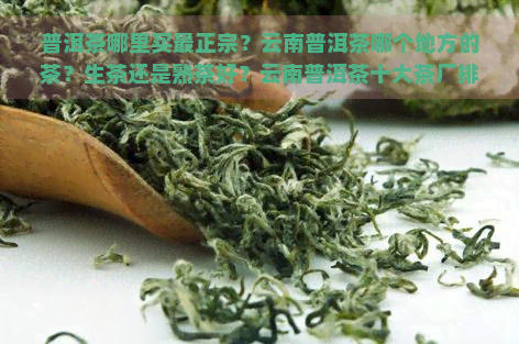 普洱茶哪里买最正宗？云南普洱茶哪个地方的茶？生茶还是熟茶好？云南普洱茶十大茶厂排名及十大害处全解析