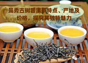 曼秀古树普洱茶特点、产地及价格，探究其独特魅力