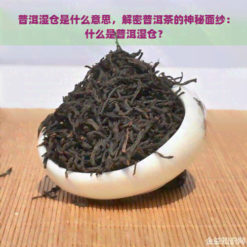 普洱湿仓是什么意思，解密普洱茶的神秘面纱：什么是普洱湿仓？