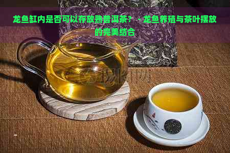 龙鱼缸内是否可以存放熟普洱茶？ - 龙鱼养殖与茶叶摆放的完美结合