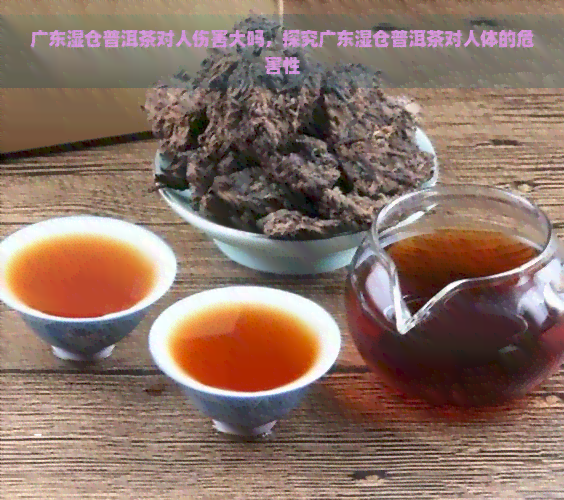 广东湿仓普洱茶对人伤害大吗，探究广东湿仓普洱茶对人体的危害性