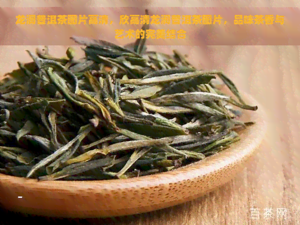 龙润普洱茶图片高清，欣高清龙润普洱茶图片，品味茶香与艺术的完美结合