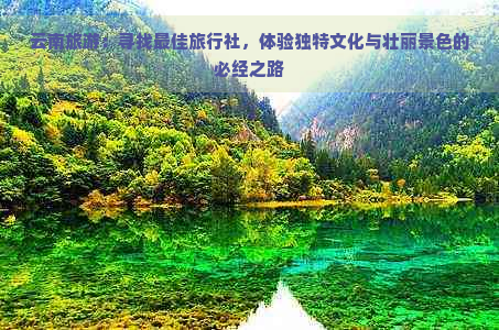 云南旅游：寻找更佳旅行社，体验独特文化与壮丽景色的必经之路