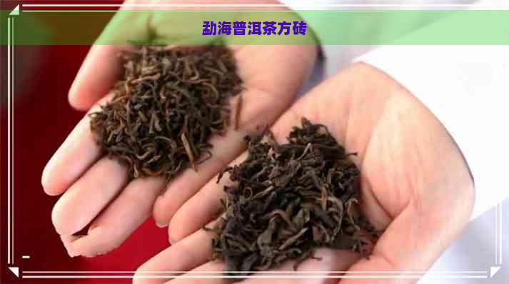 勐海普洱茶方砖