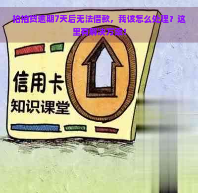 逾期7天后无法借款，我该怎么处理？这里有解决方案！