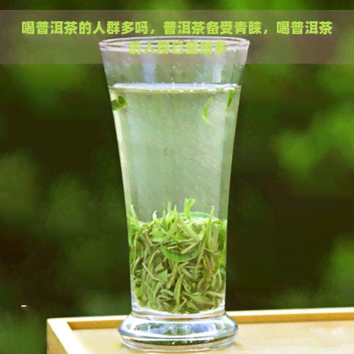 喝普洱茶的人群多吗，普洱茶备受青睐，喝普洱茶的人群日益增多