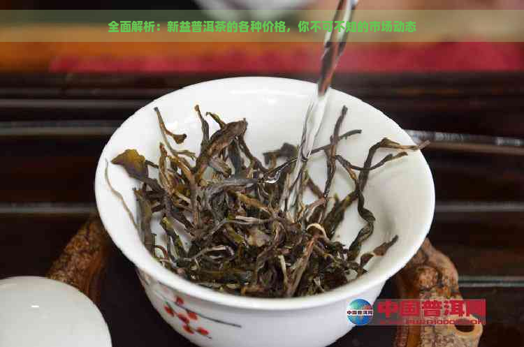 全面解析：新益普洱茶的各种价格，你不可不知的市场动态