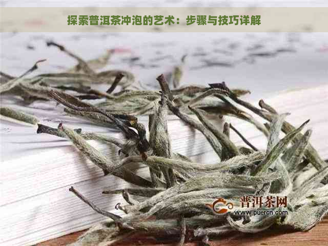 探索普洱茶冲泡的艺术：步骤与技巧详解