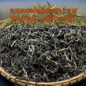 普洱茶有树枝吗能喝吗，普洱茶中有树枝，是否可以饮用？