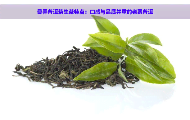 曼弄普洱茶生茶特点：口感与品质并重的老寨普洱