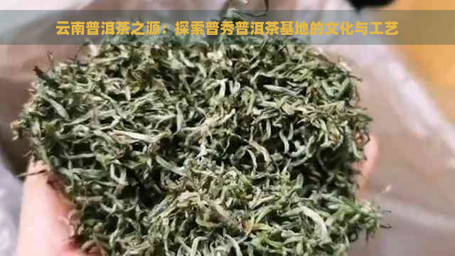 云南普洱茶之源：探索普秀普洱茶基地的文化与工艺