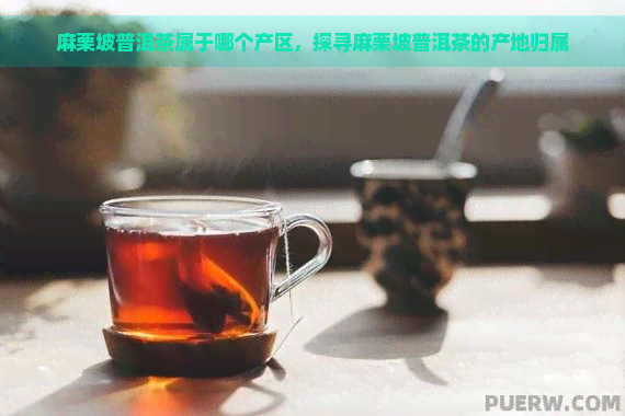 麻栗坡普洱茶属于哪个产区，探寻麻栗坡普洱茶的产地归属