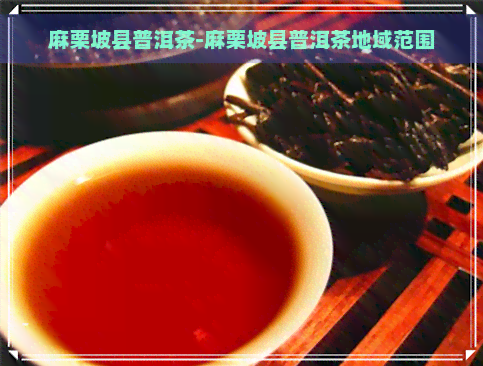 麻栗坡县普洱茶-麻栗坡县普洱茶地域范围