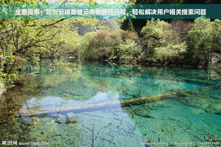 全面指南：如何安排楚雄云南旅游团行程，轻松解决用户相关搜索问题