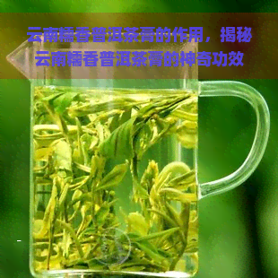 云南糯香普洱茶膏的作用，揭秘云南糯香普洱茶膏的神奇功效