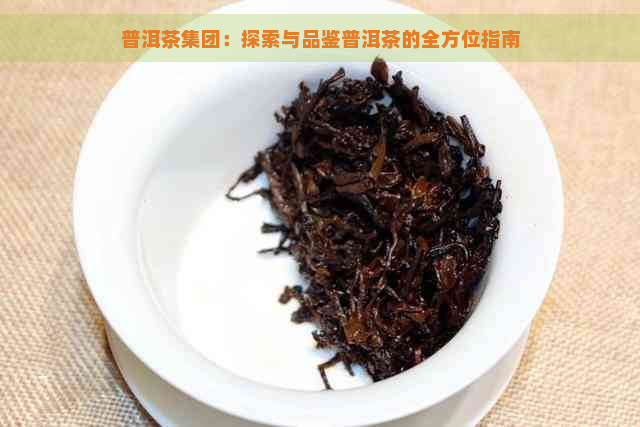 普洱茶集团：探索与品鉴普洱茶的全方位指南