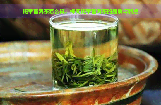 班章普洱茶怎么样，探究班章普洱茶的品质与特点