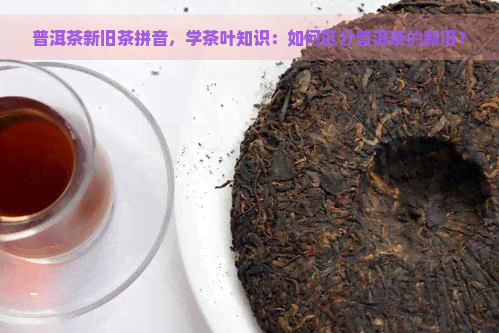 普洱茶新旧茶拼音，学茶叶知识：如何区分普洱茶的新旧？