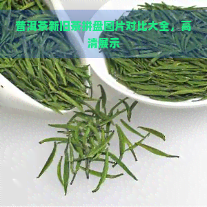 普洱茶新旧茶拼盘图片对比大全，高清展示