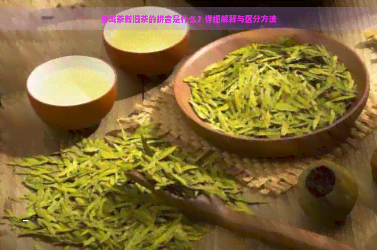 普洱茶新旧茶的拼音是什么？详细解释与区分方法