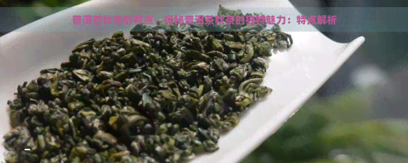 普洱茶秋茶的特点，探秘普洱茶秋茶的独特魅力：特点解析