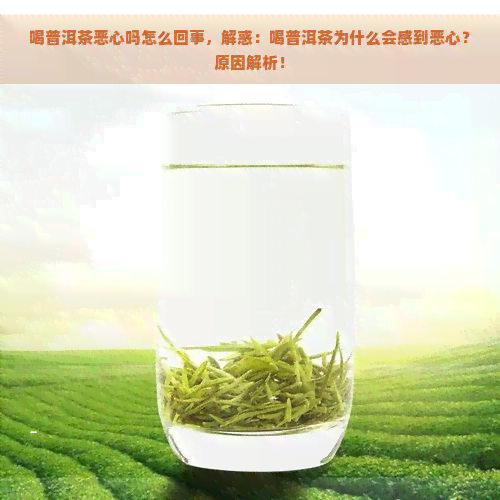 喝普洱茶恶心吗怎么回事，解惑：喝普洱茶为什么会感到恶心？原因解析！