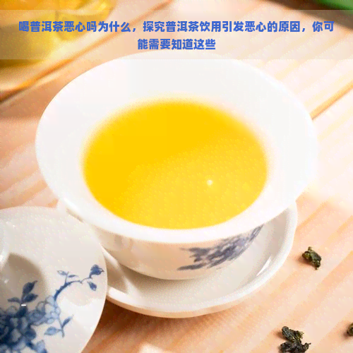 喝普洱茶恶心吗为什么，探究普洱茶饮用引发恶心的原因，你可能需要知道这些