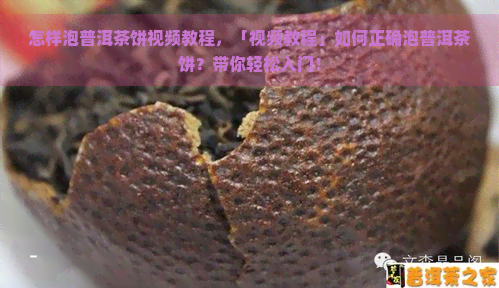 怎样泡普洱茶饼视频教程，「视频教程」如何正确泡普洱茶饼？带你轻松入门！