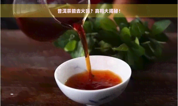 普洱茶能去火吗？真相大揭秘！