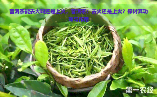 普洱茶能去火吗还是上火，普洱茶：去火还是上火？探讨其功效与作用