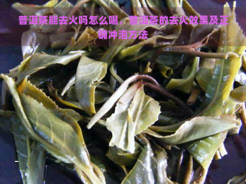 普洱茶能去火吗怎么喝，普洱茶的去火效果及正确冲泡方法